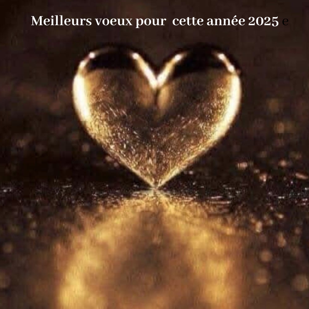 Meilleurs voeux pour cette anne e 2025 e
